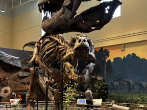trex